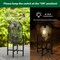 Set of 2/4 Black Metal Stripes Solar Powered Edison Bulb Outdoor Lantern with Stand